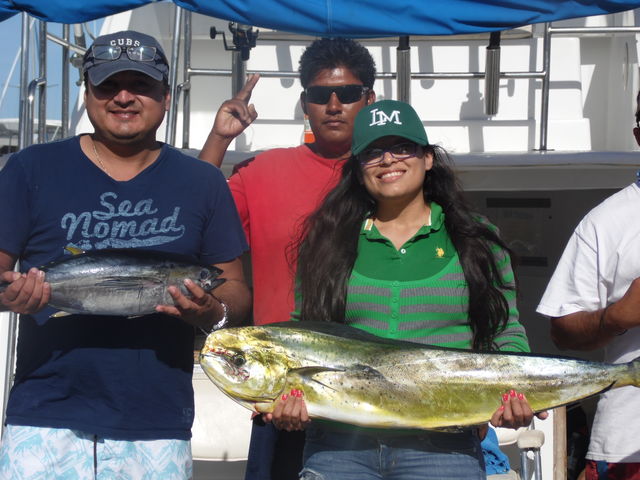 Dorado