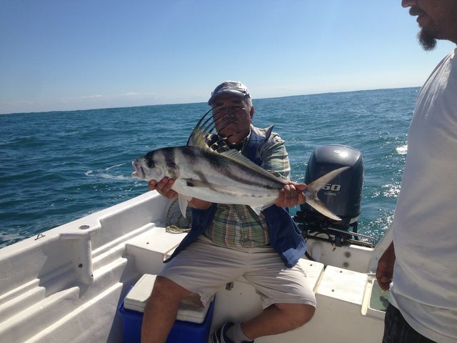 Rooster fish