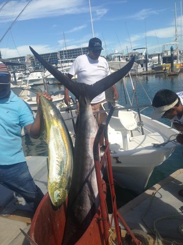 Marlin & Dorado