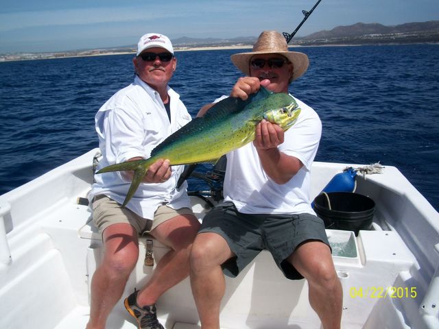 Dorado