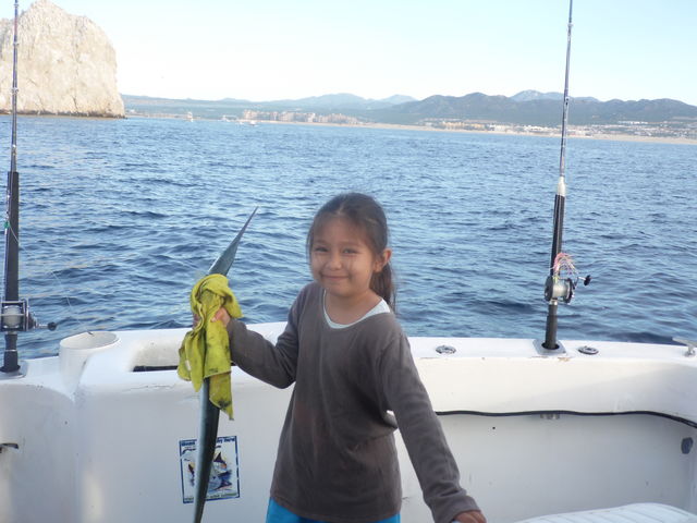 Trompet fish