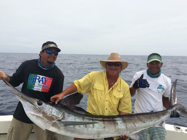 Marlin