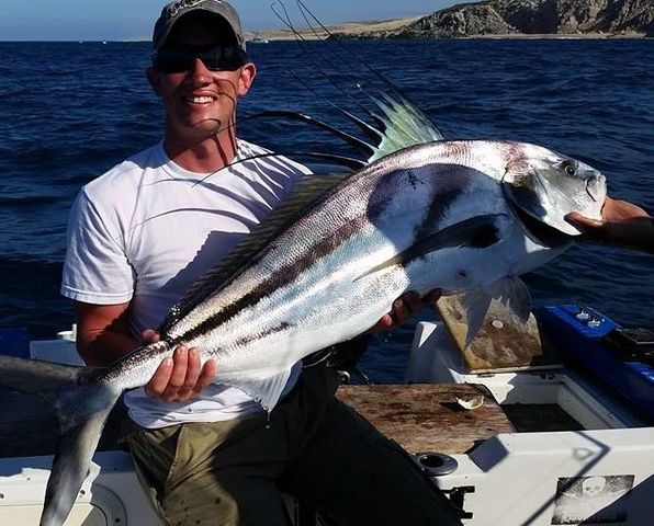 Rooster Fish