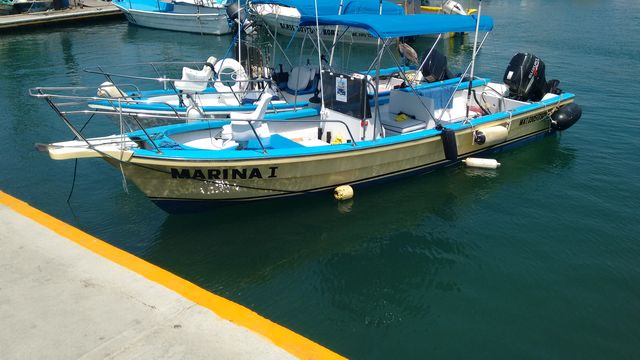 Panga