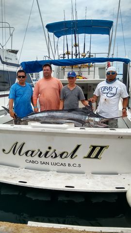 Marlin