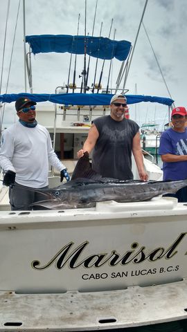 Marlin