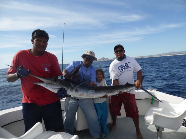 Marlin